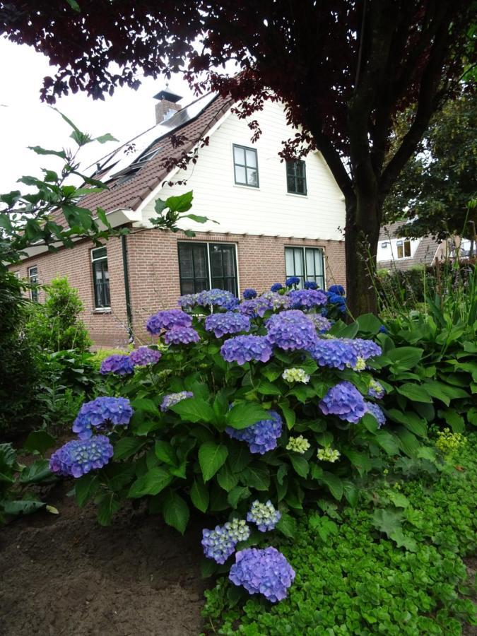 Bed & Breakfast De Vrijheid Ede Eksteriør billede